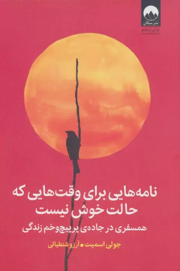 جلد کتاب نامه هایی برای وقت هایی که حالت خوش نیست (همسفری در جاده ی پرپیچ و خم زندگی)