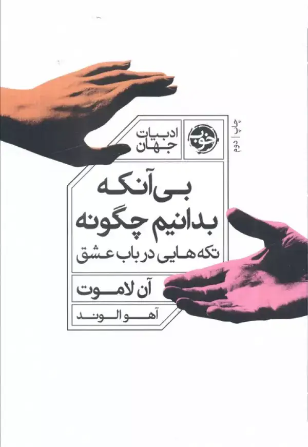 جلد کتاب بی آنکه بدانیم چگونه (تکه هایی در باب عشق)