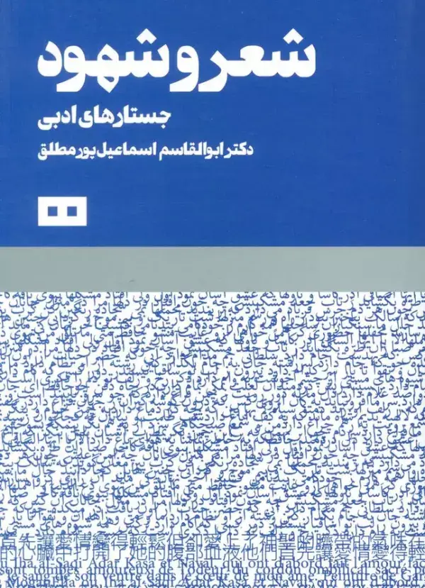 جلد کتاب شعر و شهود (جستارهای ادبی)