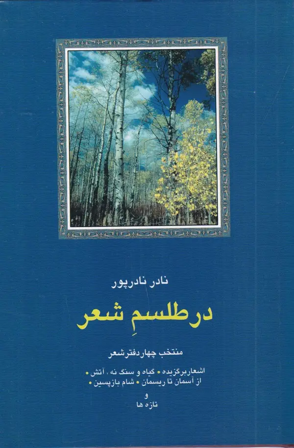 جلد کتاب در طلسم شعر (منتخب 4 دفتر شعر)