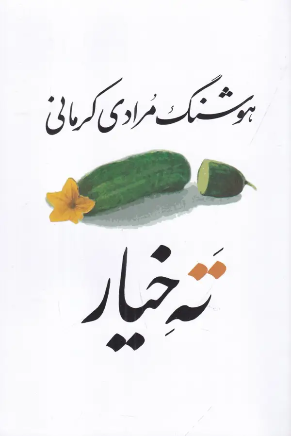 جلد کتاب ته خیار (سی داستان)