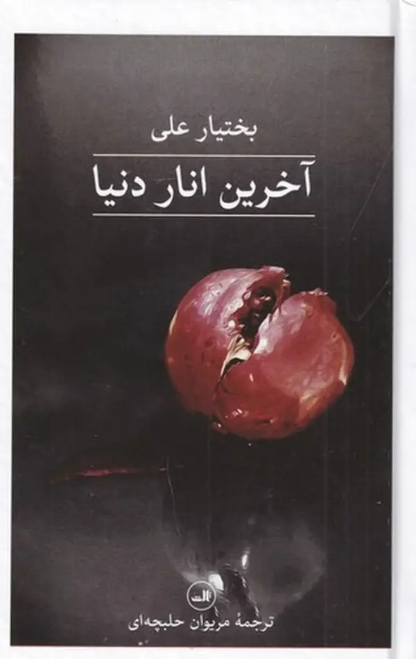 جلد کتاب آخرین انار دنیا