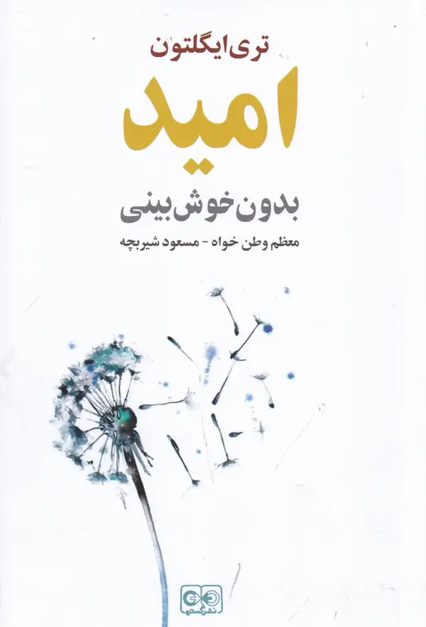 جلد کتاب امید بدون خوشبینی