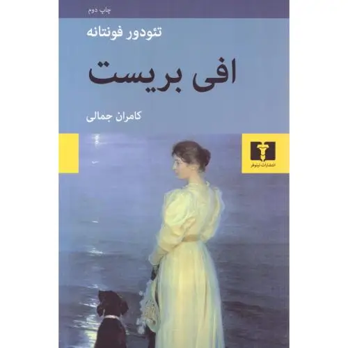 جلد کتاب افی بریست