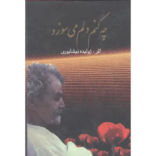 جلد کتاب چه کنم دلم می سوزد