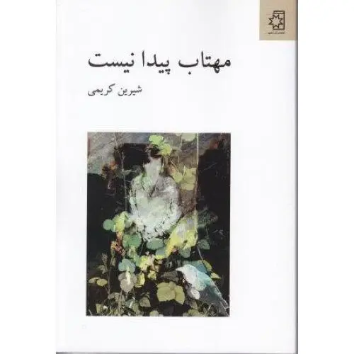 جلد کتاب مهتاب پیدا نیست