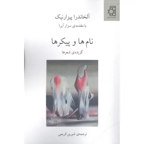 جلد کتاب نام ها و پیکرها: گزیده ی شعرها