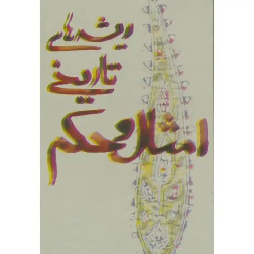 جلد کتاب ریشه های تاریخی امثال و حکم (2 جلدی)