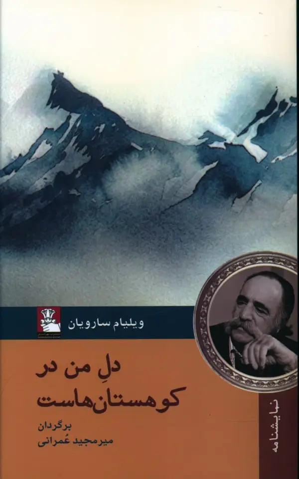 جلد کتاب دل من در کوهستان هاست