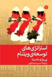 جلد کتاب استراتژی های توسعه ویتنام
