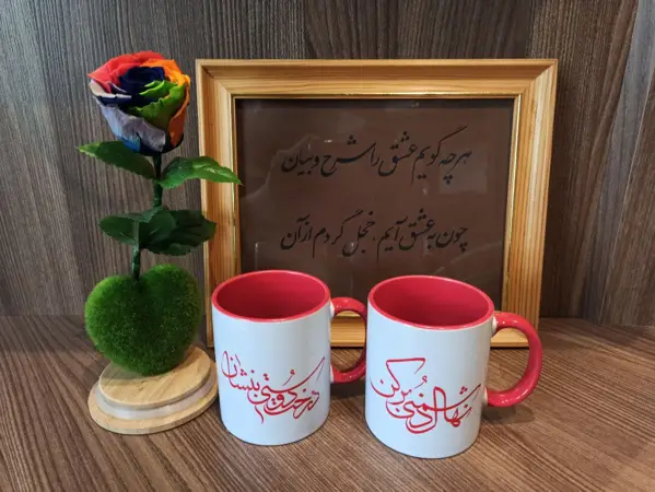 جلد کتاب ماگ سرامیکی بینش نو