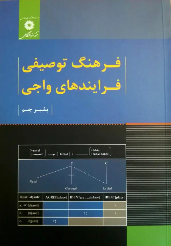 جلد کتاب فرهنگ توصیفی فرایندهای واجی