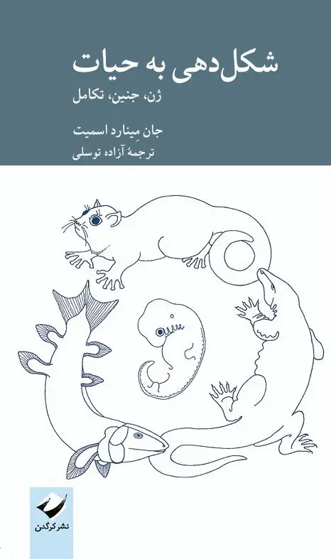 جلد کتاب شکل دهی به حیات