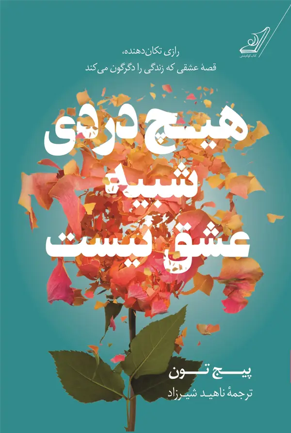 جلد کتاب هیچ دردی شبیه عشق نیست