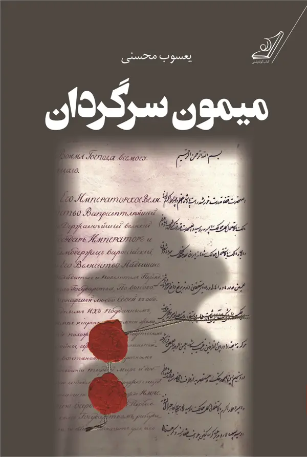 جلد کتاب میمون سرگردان