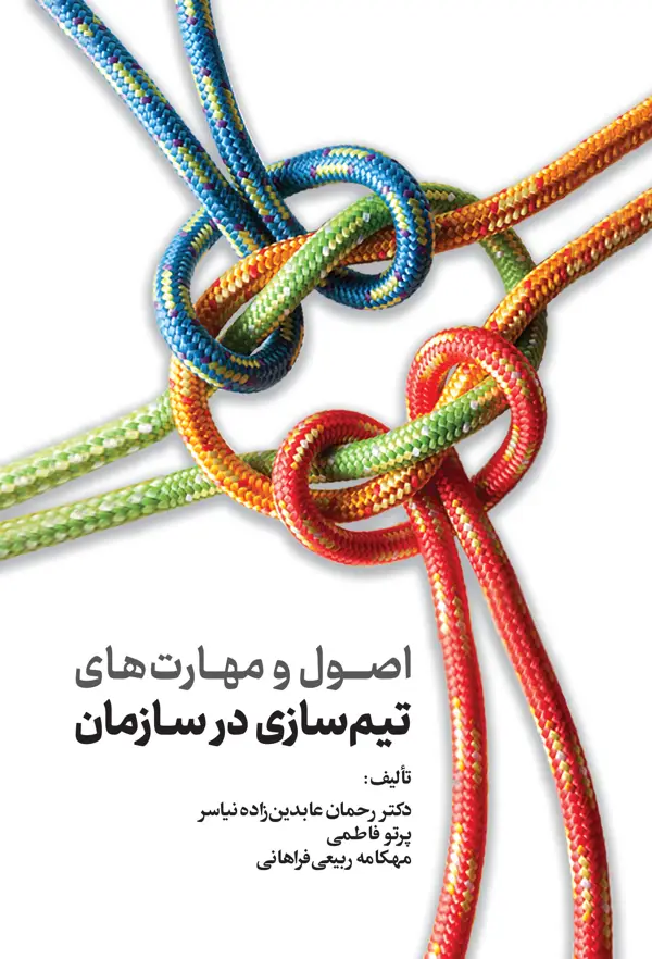 جلد کتاب اصول و مهارت های تیم سازی در سازمان