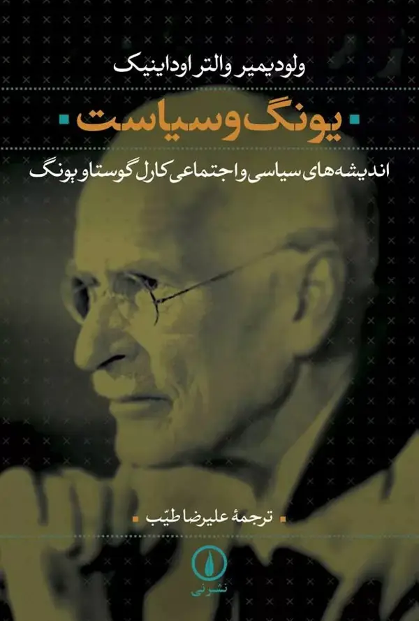 جلد کتاب کتاب یونگ و سیاست