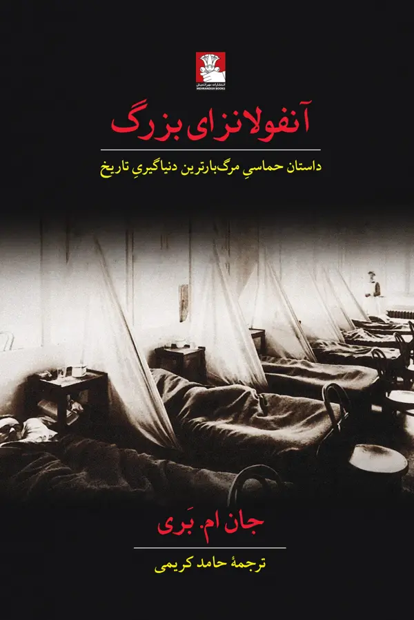 جلد کتاب انفولانزای بزرگ