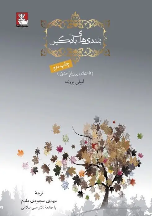جلد کتاب بلندی های بادگیر