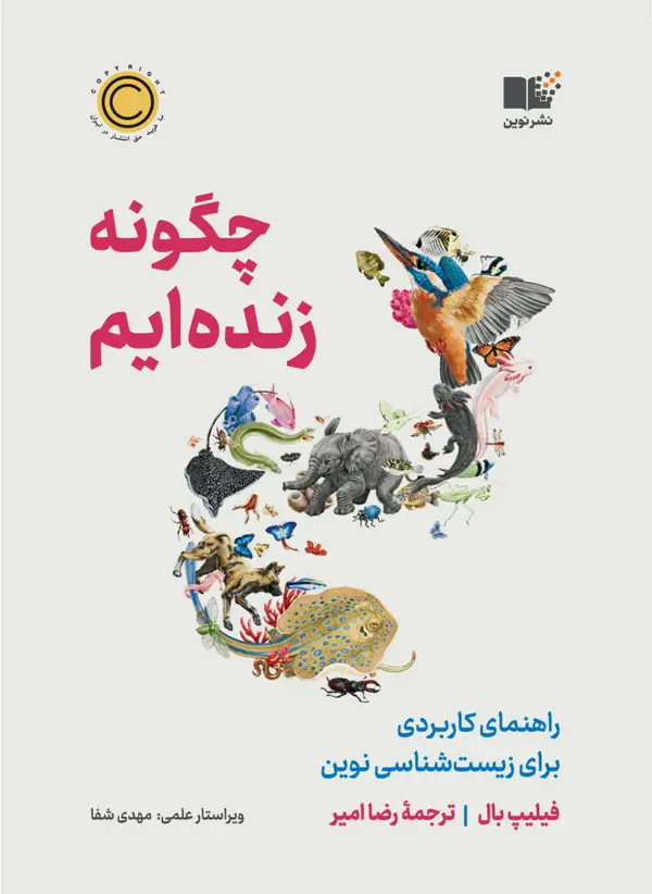جلد کتاب چگونه زنده ایم