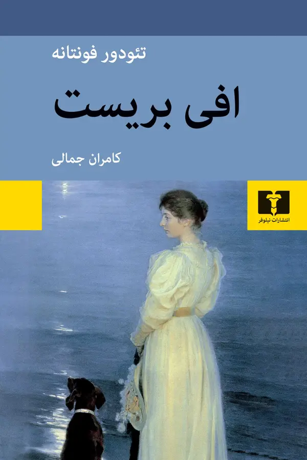 جلد کتاب افی بریست