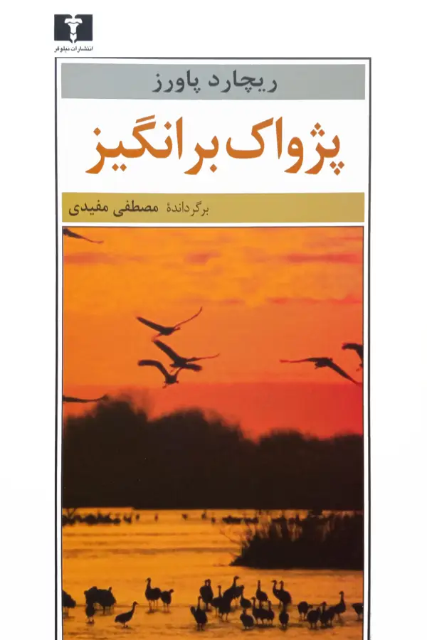 جلد کتاب پژواک برانگیز