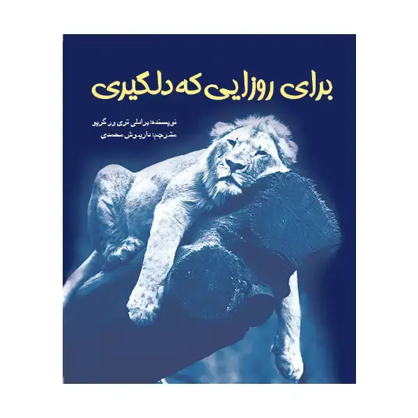 جلد کتاب برای روزایی که دلگیری