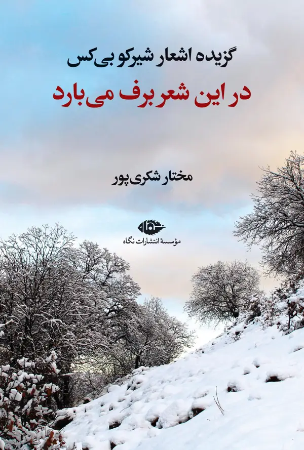 جلد کتاب در این شعر برف می بارد