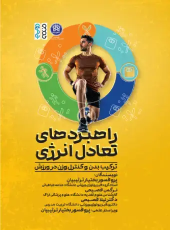 جلد کتاب راهبردهای تعادل انرژی
