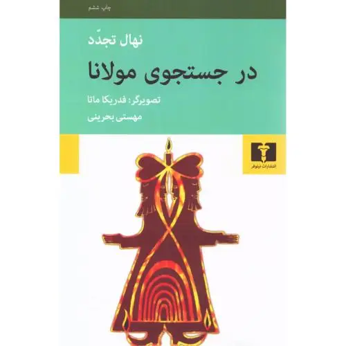 جلد کتاب در جستجوی مولانا