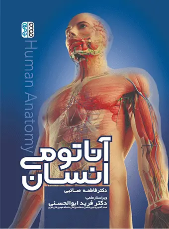 جلد کتاب اناتومی انسان صائبی