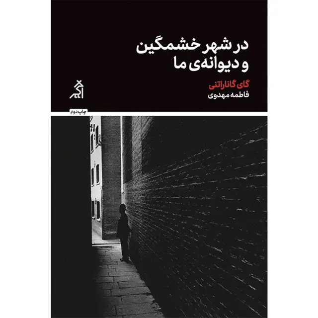 جلد کتاب در شهر خشمگین و دیوانه ی ما
