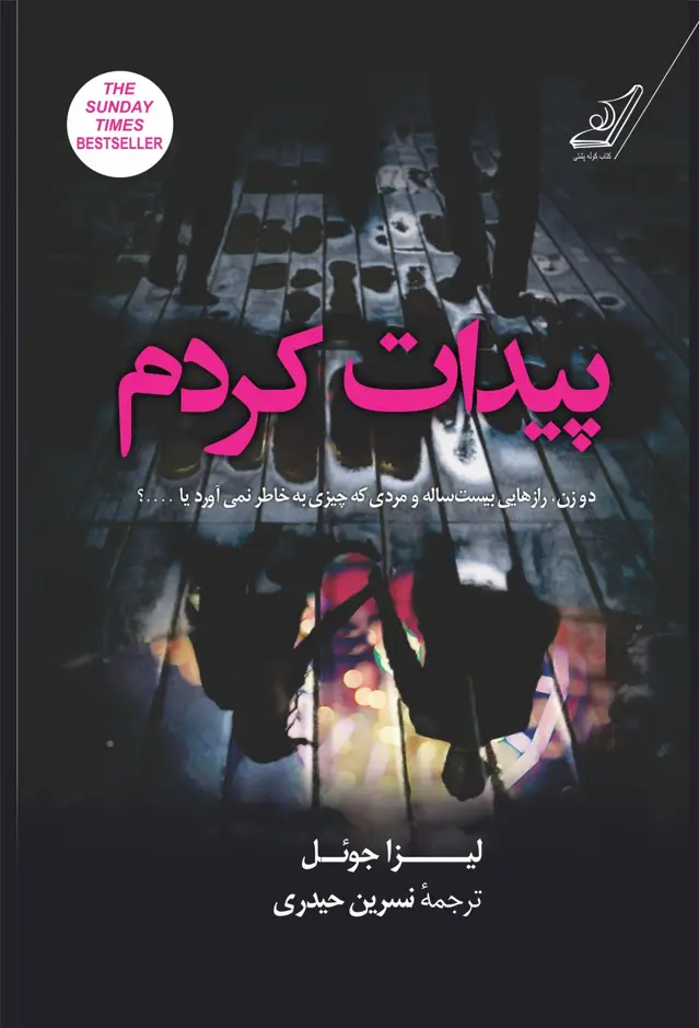 جلد کتاب پیدات کردم اثر نسرین حیدری