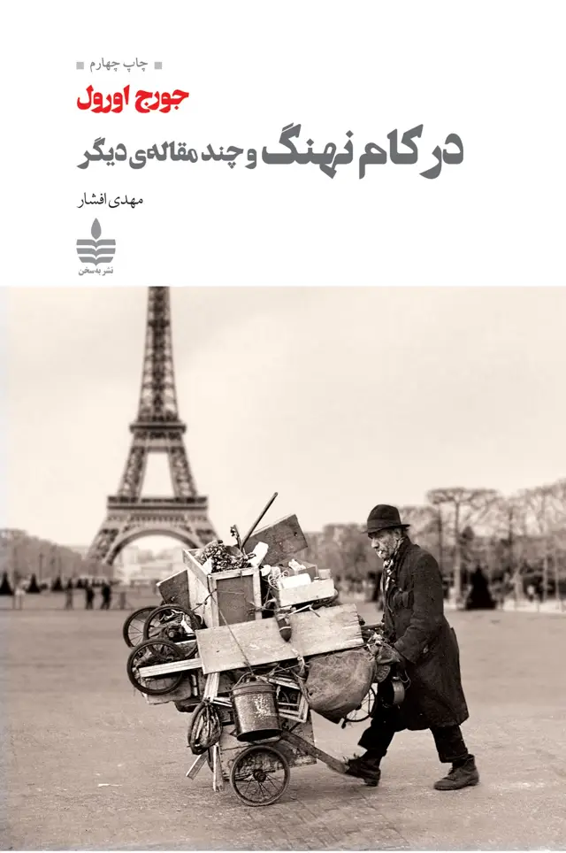 جلد کتاب در کام نهنگ و چند مقاله دیگر