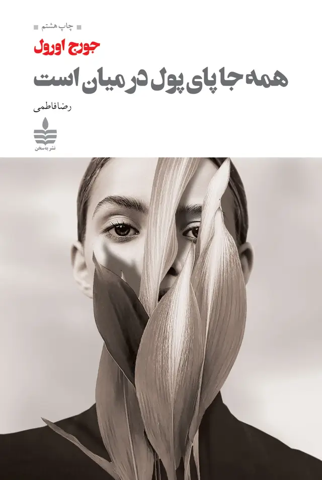 جلد کتاب همه جا پای پول در میان است