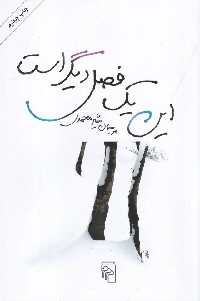 جلد کتاب این یک فصل دیگر است