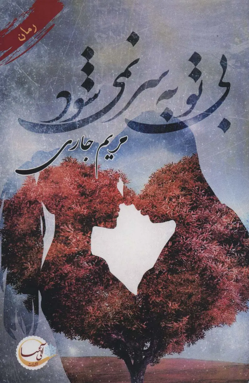 جلد کتاب بی تو به سر نمی شود