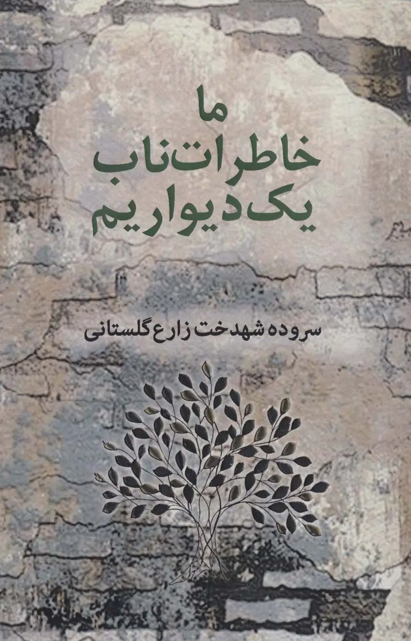 جلد کتاب ما خاطرات ناب یک دیواریم