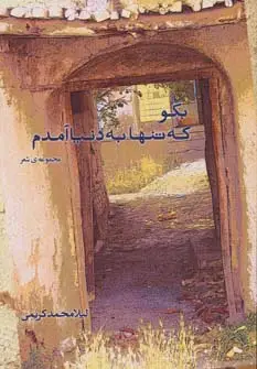 جلد کتاب بگو که تنها به دنیا آمدم (مجموعه ی شعر)