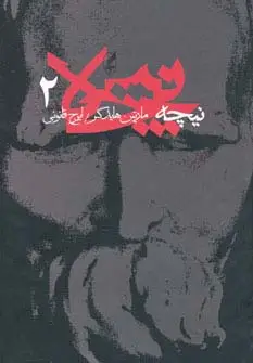 جلد کتاب نیچه 2