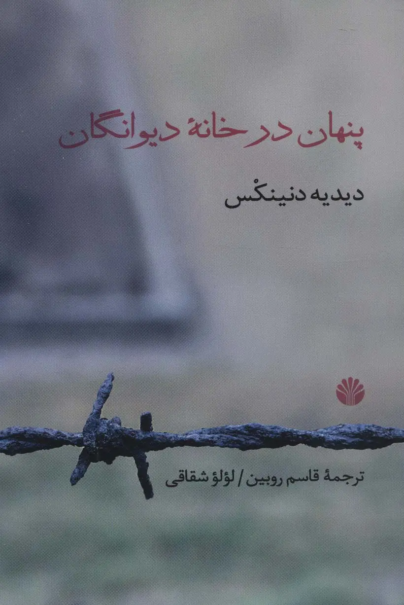 جلد کتاب پنهان در خانه دیوانگان
