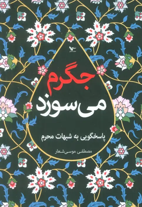 جلد کتاب جگرم می سوزد (پاسخگویی به شبهات محرم)