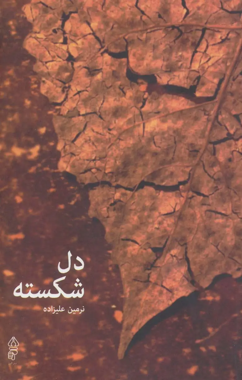 جلد کتاب دل شکسته