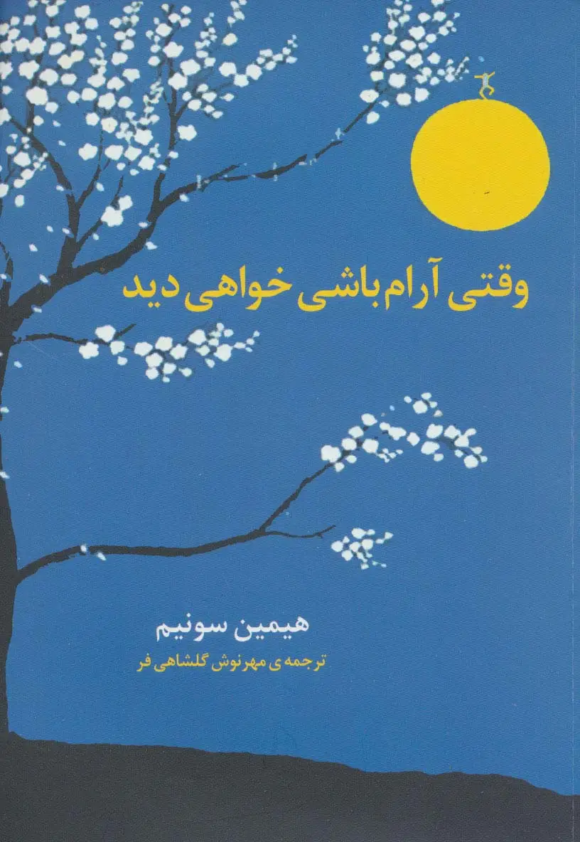 جلد کتاب وقتی آرام باشی خواهی دید