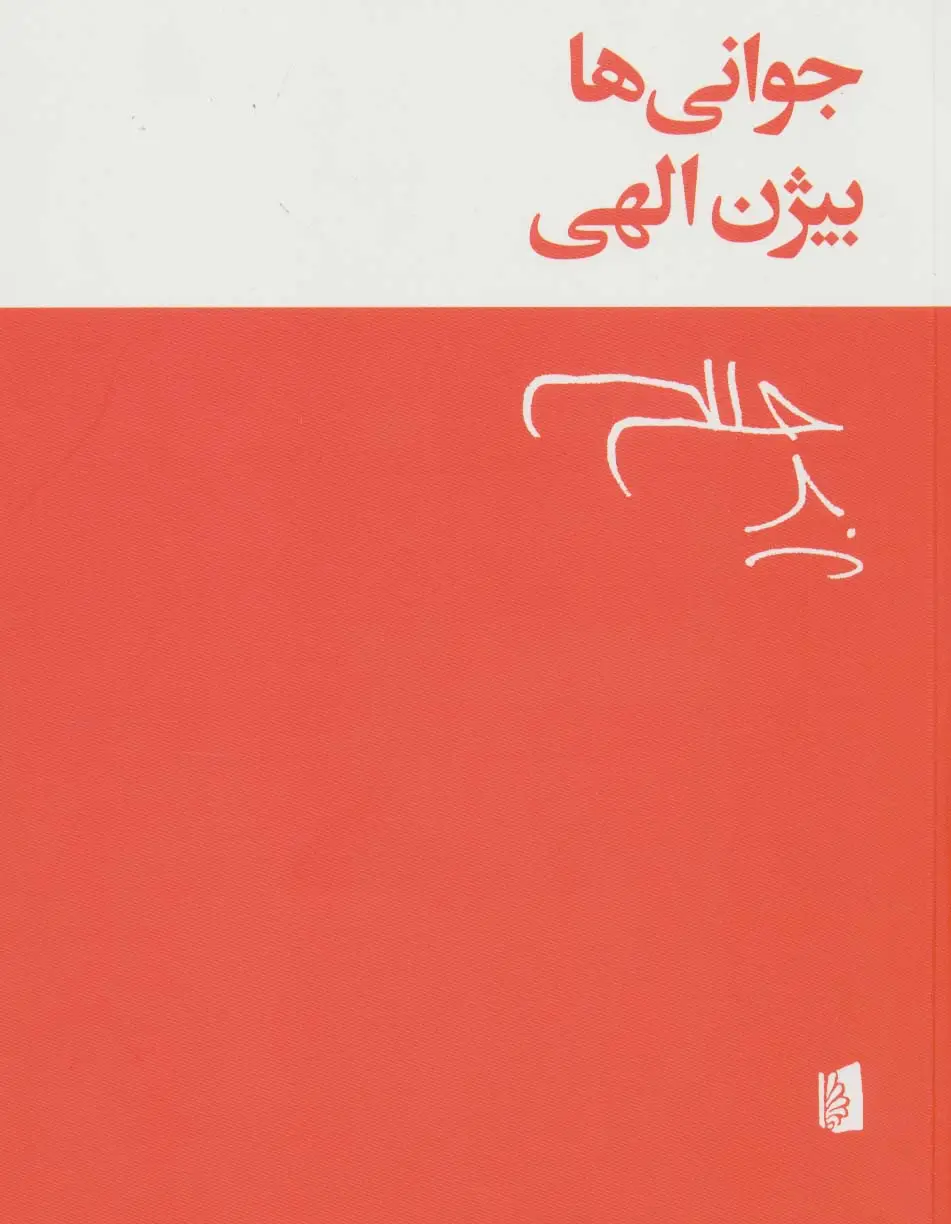 جلد کتاب جوانی ها
