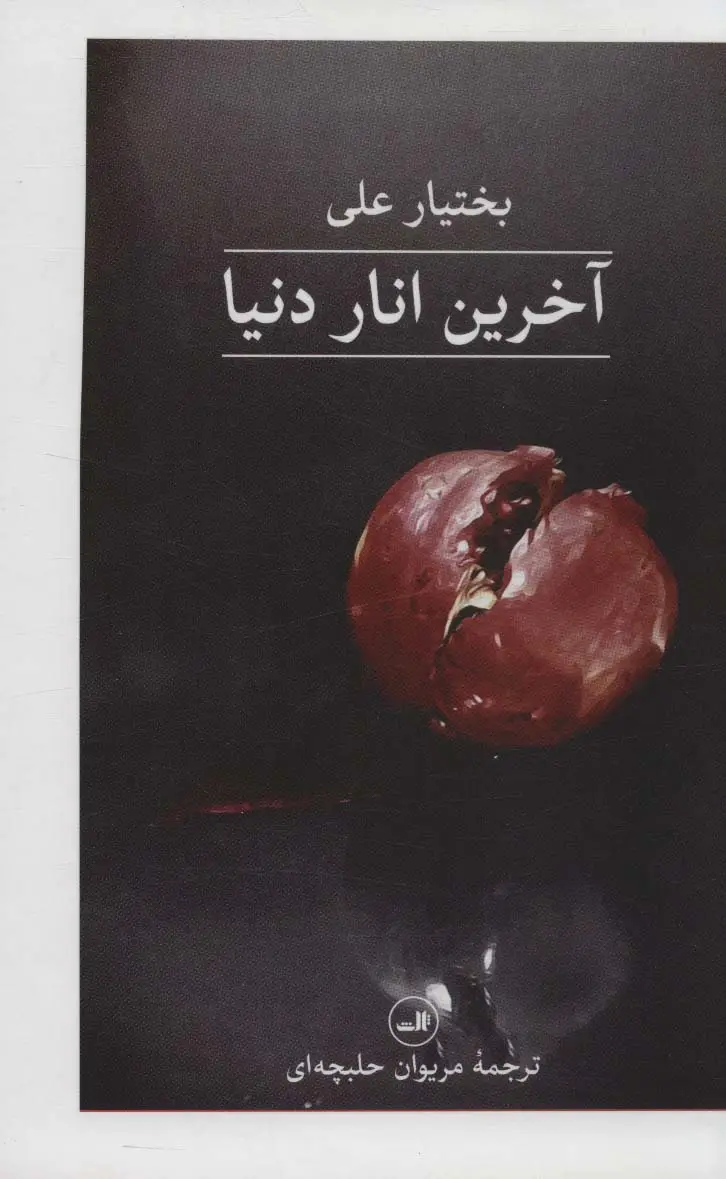 جلد کتاب آخرین انار دنیا