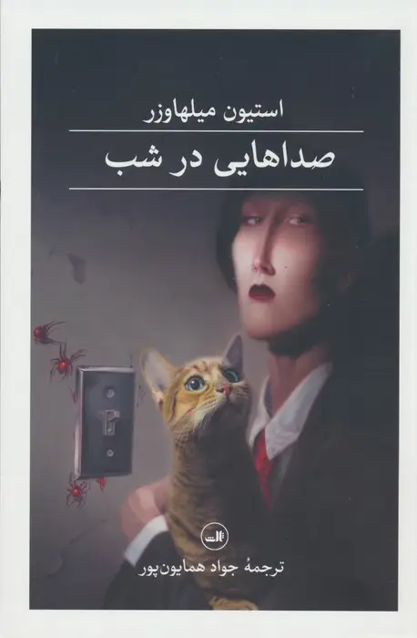 جلد کتاب صداهایی در شب