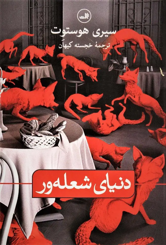 جلد کتاب دنیای شعله ور