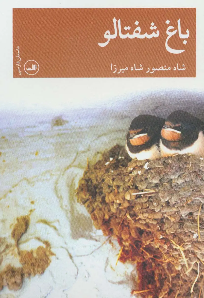 جلد کتاب باغ شفتالو (داستان فارسی)