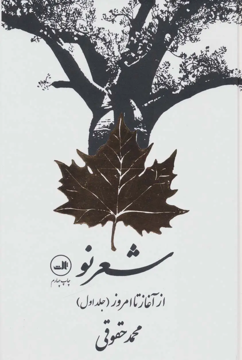 جلد کتاب شعر نو از آغاز تا امروز (2جلدی)